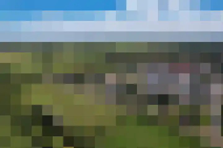 Lutjegasterweg 26 Grootegast thumbnail 71