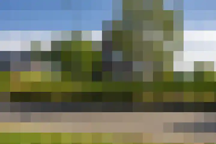 Lutjegasterweg 26 Grootegast thumbnail 8
