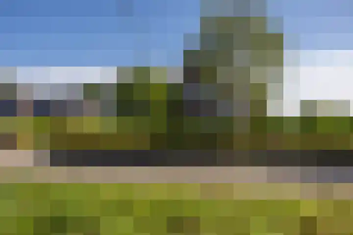 Lutjegasterweg 26 Grootegast thumbnail 9