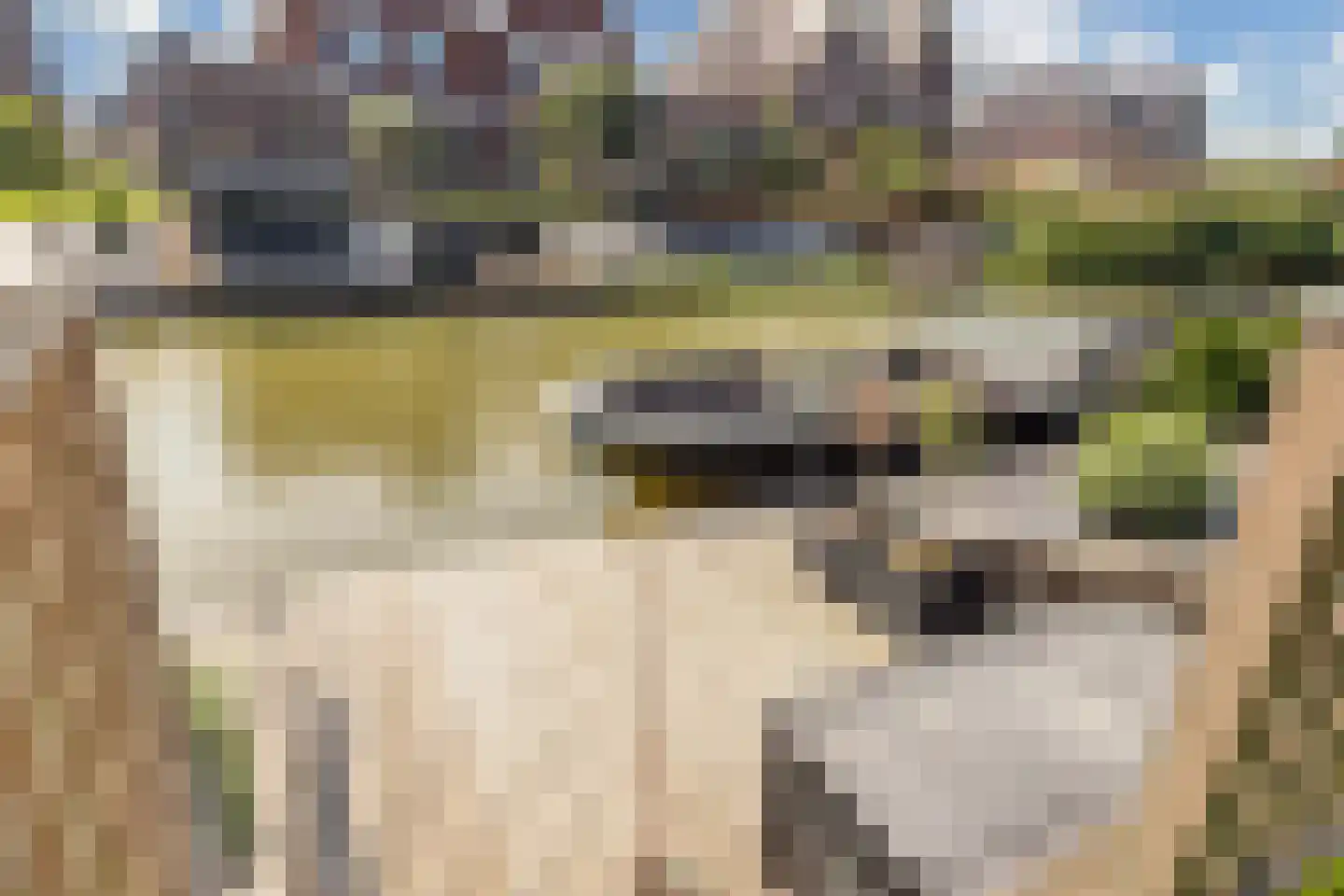 Lutjelant 13 Zuid-Scharwoude thumbnail 60