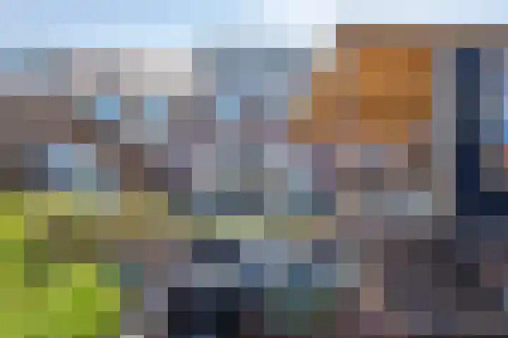 Lutjelant 14 Zuid-Scharwoude thumbnail 55