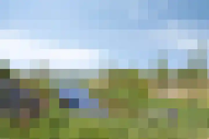 Lutjelant 14 Zuid-Scharwoude thumbnail 56