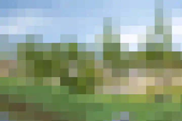 Lutjelant 14 Zuid-Scharwoude thumbnail 57