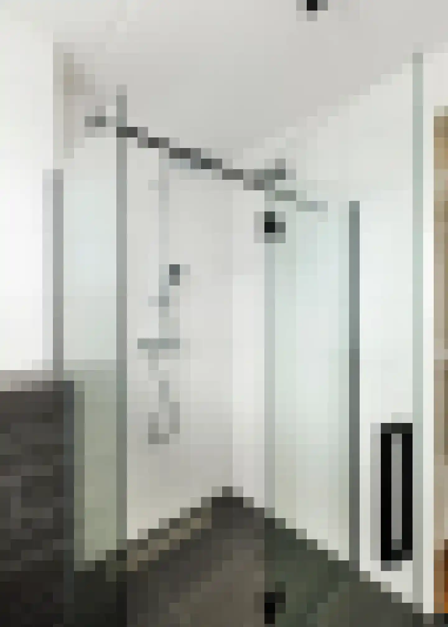 Lutjelant 8 Zuid-Scharwoude thumbnail 20