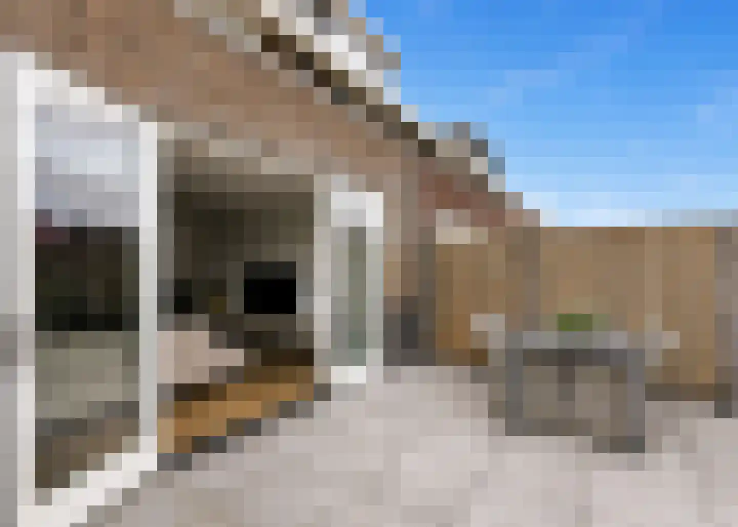 Lutjelant 8 Zuid-Scharwoude thumbnail 29