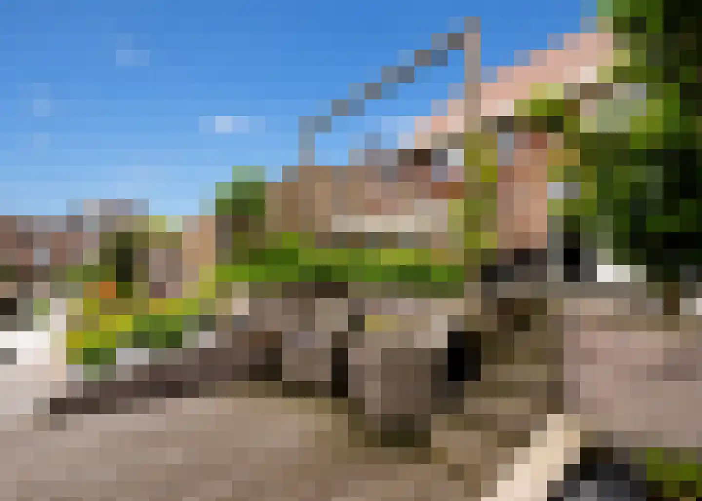 Lutjelant 8 Zuid-Scharwoude thumbnail 33