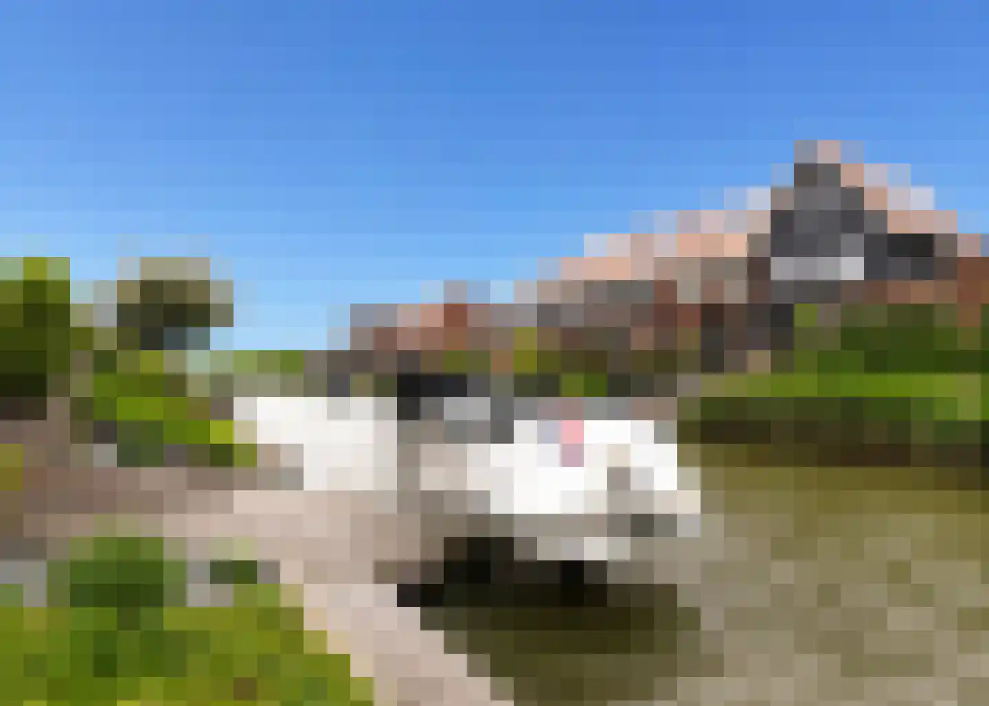 Lutjelant 8 Zuid-Scharwoude thumbnail 34
