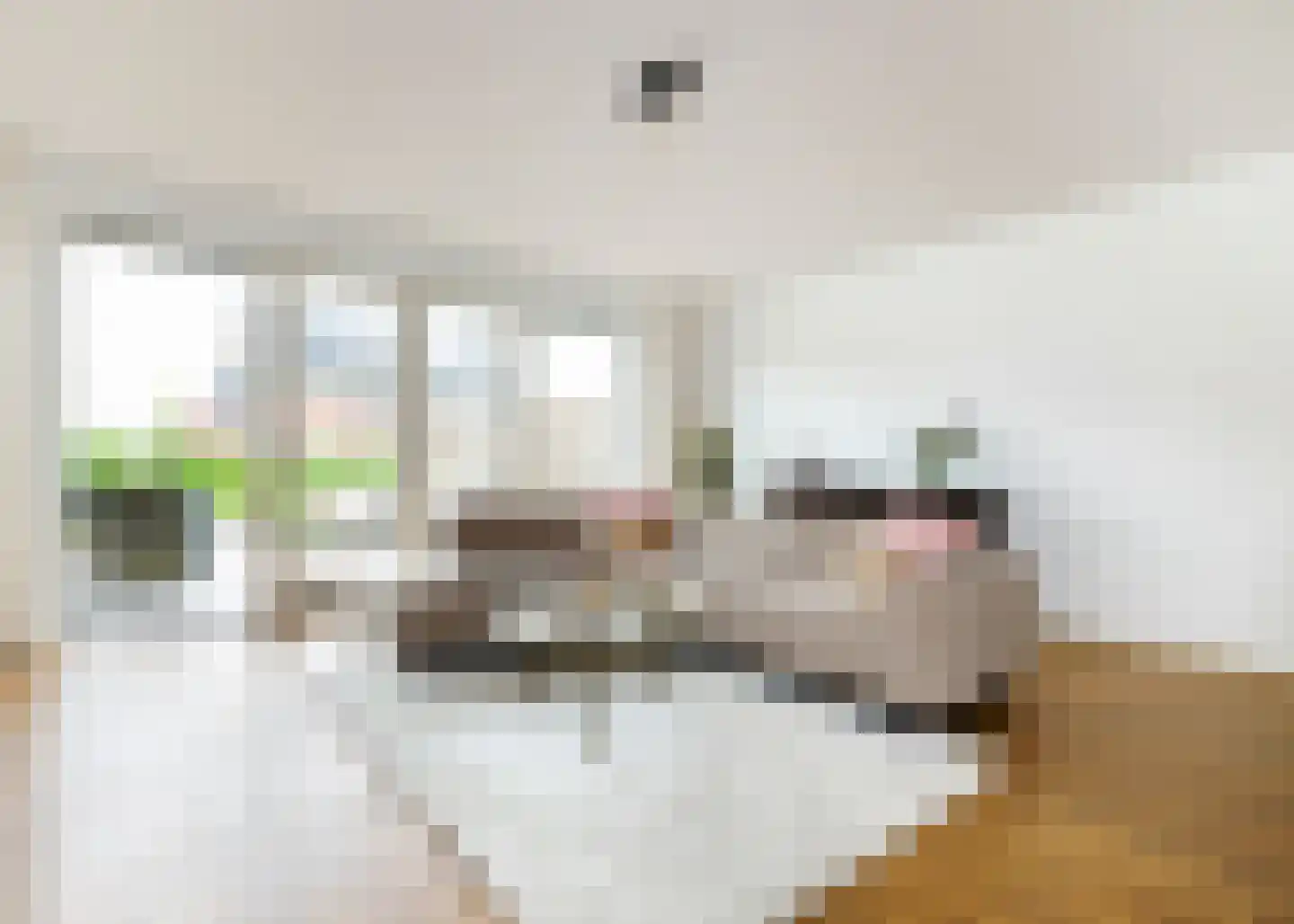 Lutjelant 8 Zuid-Scharwoude thumbnail 5