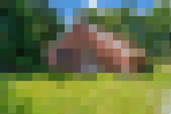 Lutjeloosterweg 28 Blijham thumbnail 32
