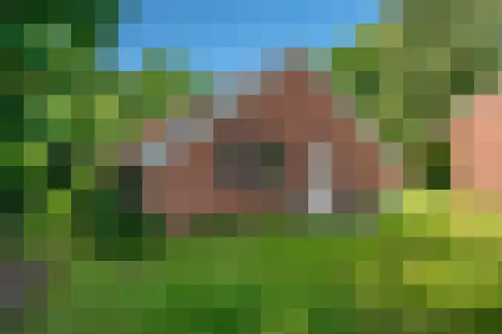 Lutjeloosterweg 28 Blijham thumbnail 33
