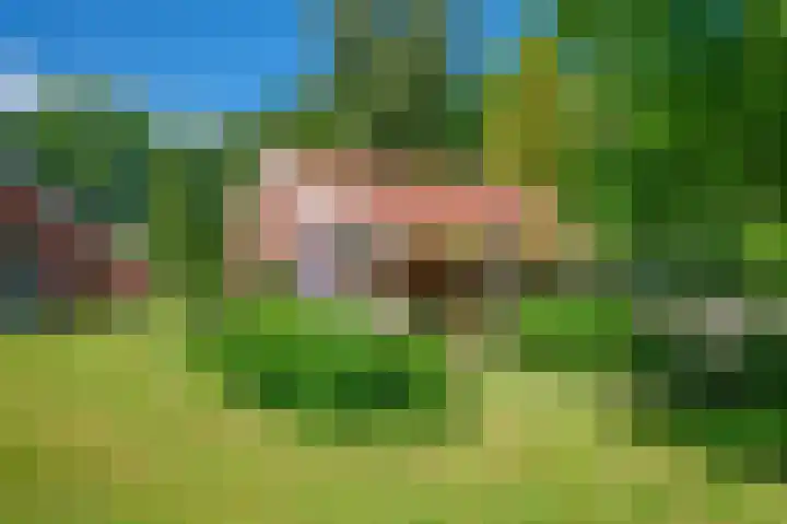 Lutjeloosterweg 28 Blijham thumbnail 34