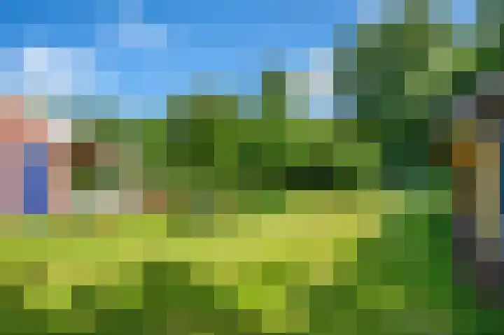 Lutjeloosterweg 28 Blijham thumbnail 42