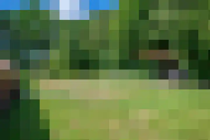 Lutjeloosterweg 28 Blijham thumbnail 47
