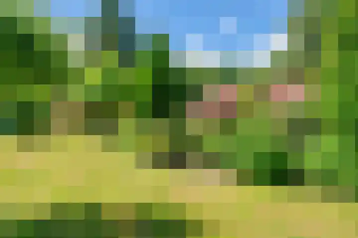 Lutjeloosterweg 28 Blijham thumbnail 50