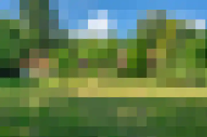 Lutjeloosterweg 28 Blijham thumbnail 51