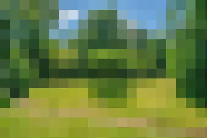 Lutjeloosterweg 28 Blijham thumbnail 53