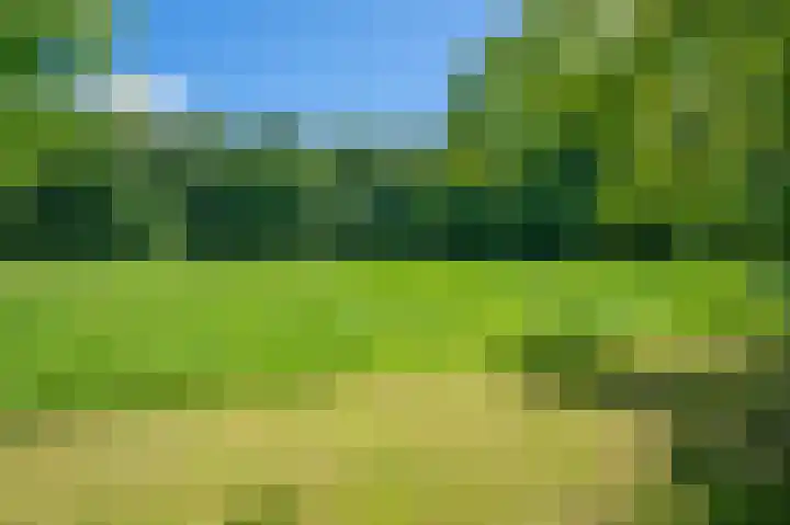 Lutjeloosterweg 28 Blijham thumbnail 54