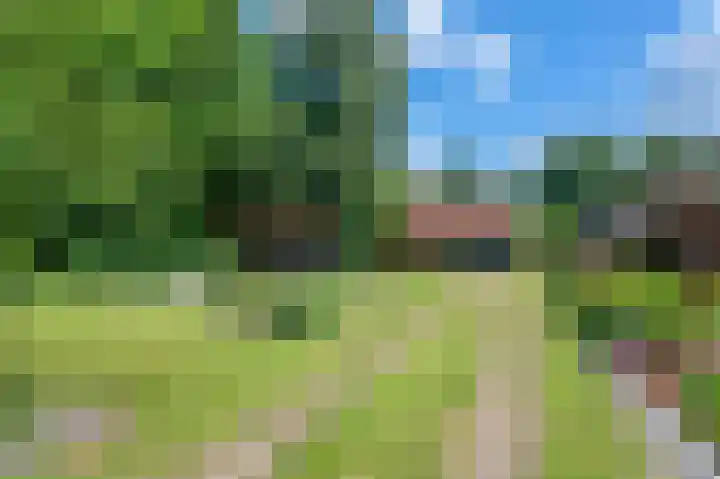 Lutjeloosterweg 28 Blijham thumbnail 6