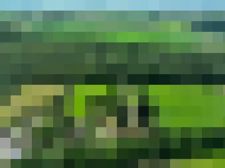 Lutjeloosterweg 28 Blijham thumbnail 60
