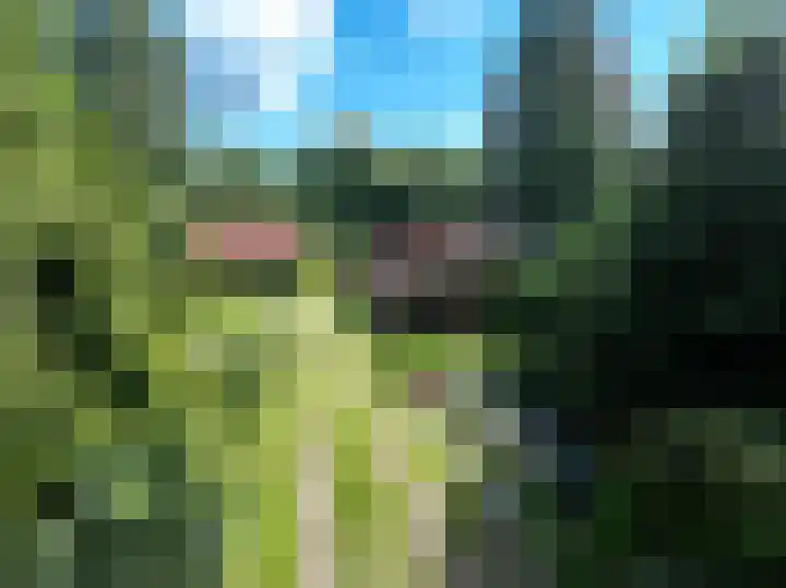 Lutjeloosterweg 28 Blijham thumbnail 7