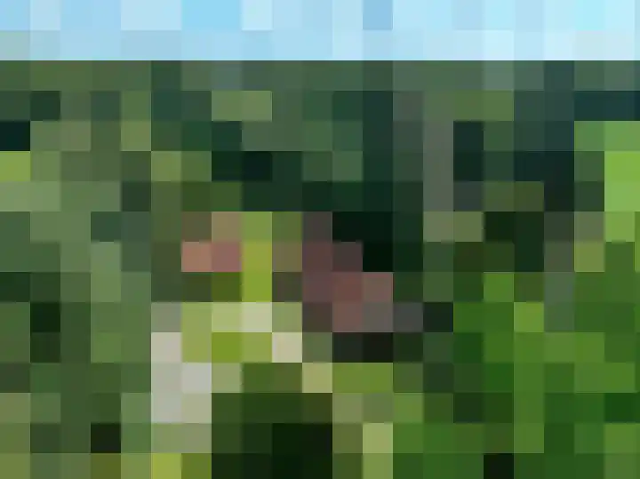 Lutjeloosterweg 28 Blijham thumbnail 8