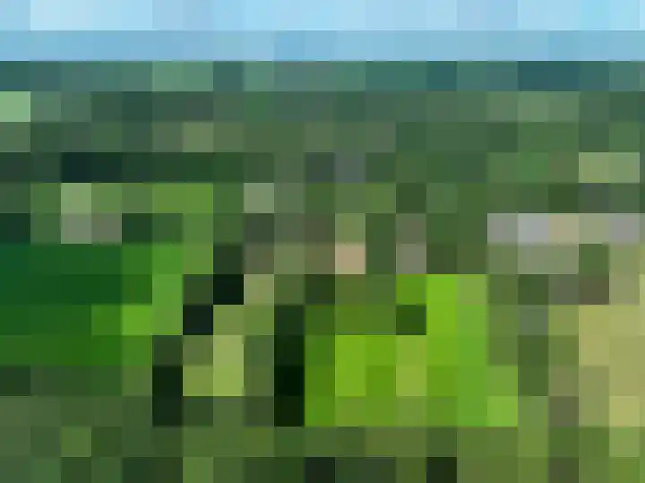 Lutjeloosterweg 28 Blijham thumbnail 9