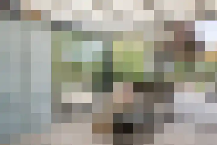 Lutjewallerweg 10 Schagen thumbnail 10