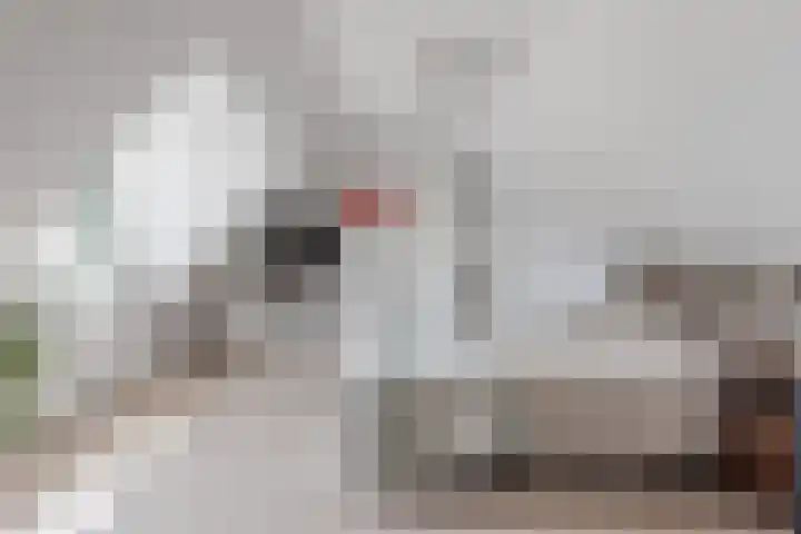 Lutjewallerweg 10 Schagen thumbnail 19