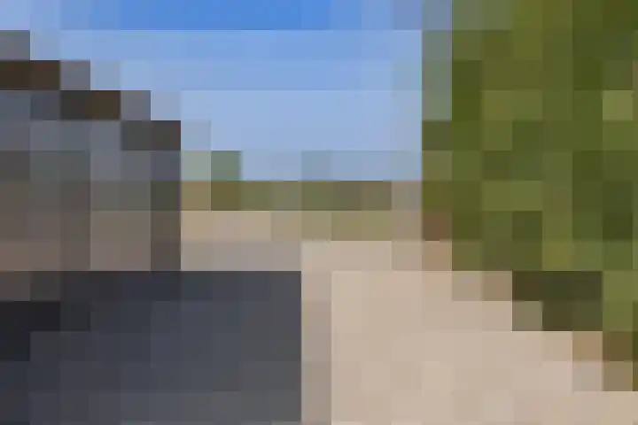 Lutjewallerweg 10 Schagen thumbnail 24