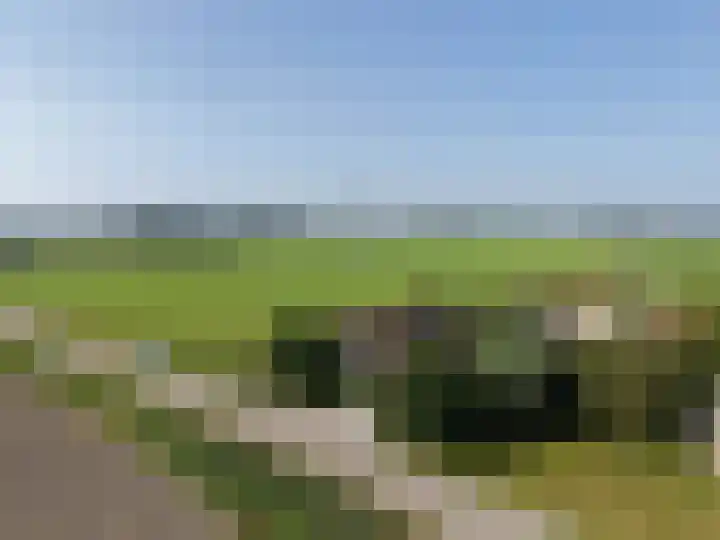 Lutjewallerweg 10 Schagen thumbnail 26