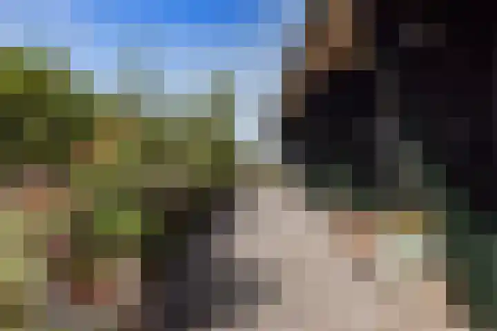 Lutjewallerweg 10 Schagen thumbnail 28