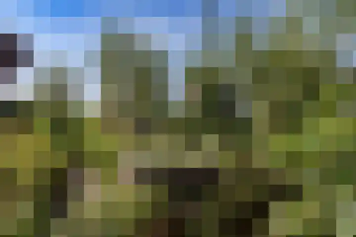 Lutjewallerweg 10 Schagen thumbnail 31