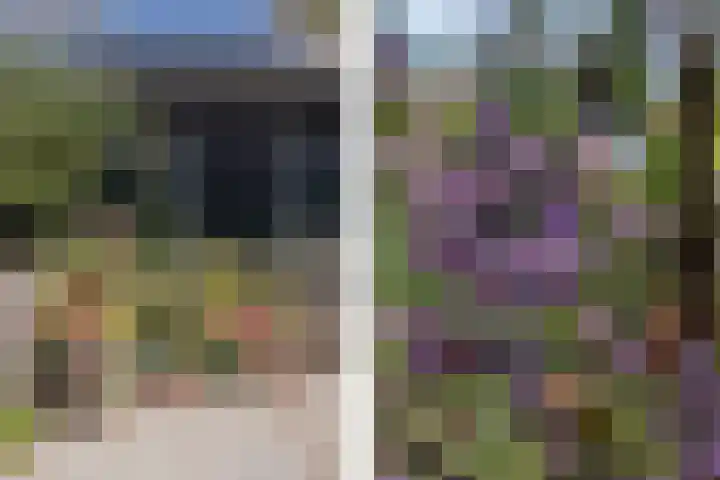 Lutjewallerweg 10 Schagen thumbnail 32