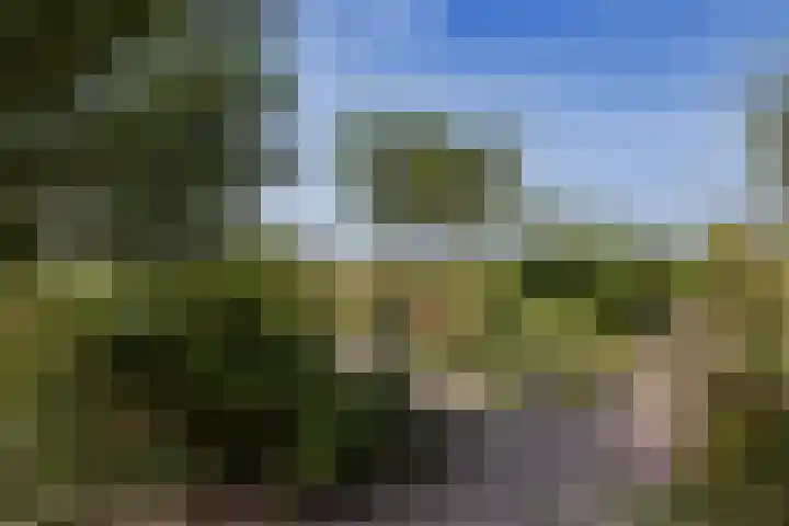 Lutjewallerweg 10 Schagen thumbnail 33