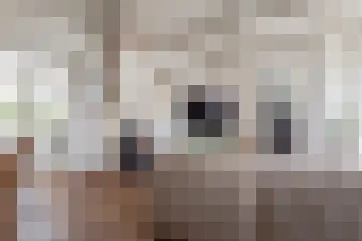 Lutjewallerweg 10 Schagen thumbnail 7