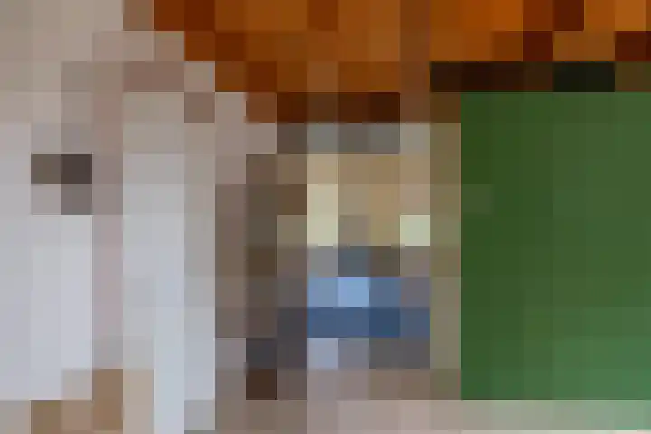 Lutjewegje 28 Uithuizermeeden thumbnail 10