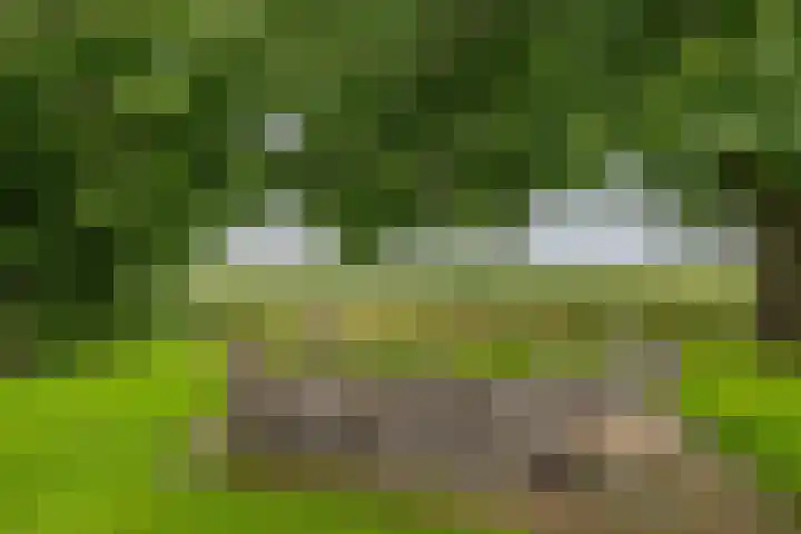 Lutjewegje 28 Uithuizermeeden foto 2