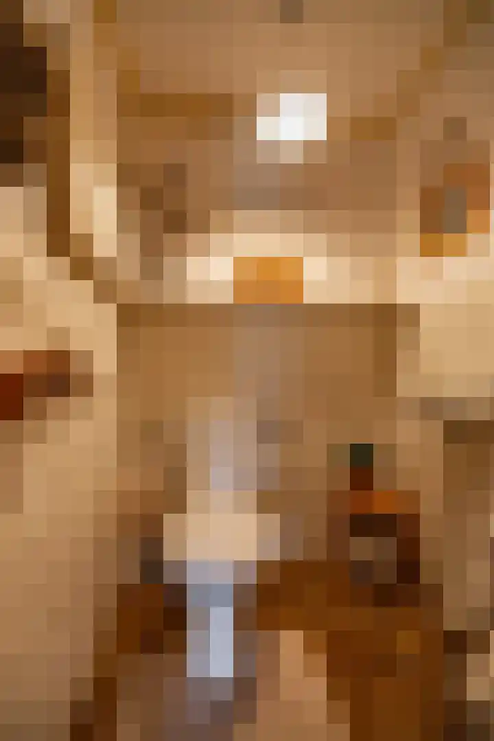 Lutjewegje 28 Uithuizermeeden thumbnail 21