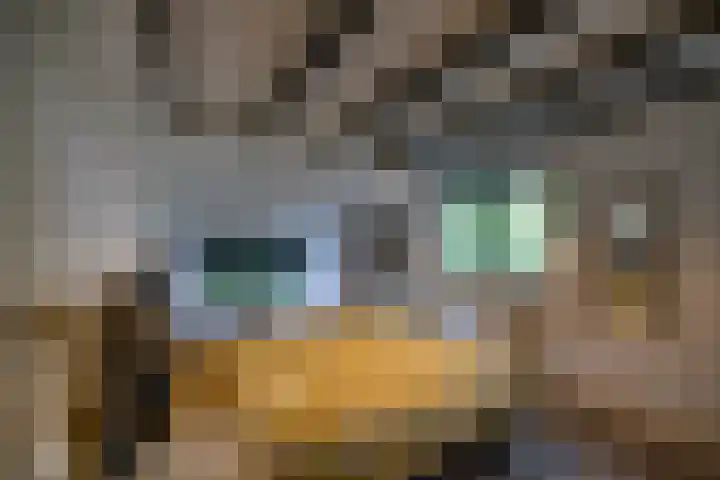 Lutjewegje 28 Uithuizermeeden thumbnail 28