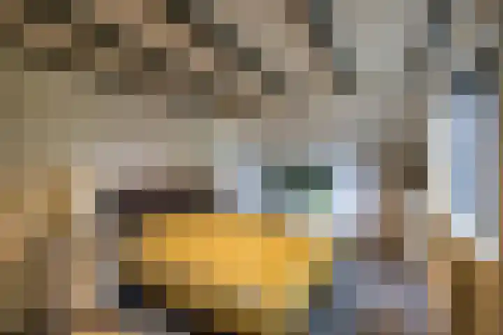 Lutjewegje 28 Uithuizermeeden thumbnail 29