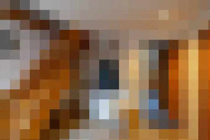 Lutjewegje 28 Uithuizermeeden thumbnail 33