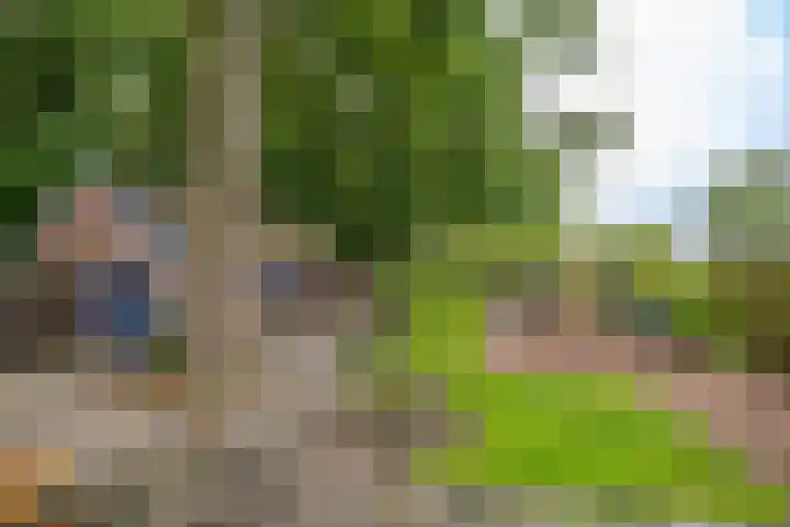 Lutjewegje 28 Uithuizermeeden thumbnail 40