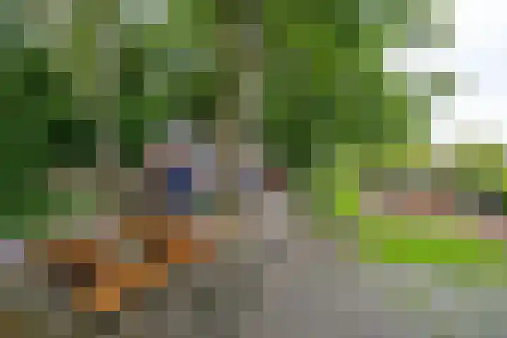 Lutjewegje 28 Uithuizermeeden thumbnail 42
