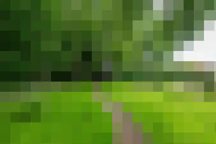 Lutjewegje 28 Uithuizermeeden thumbnail 45