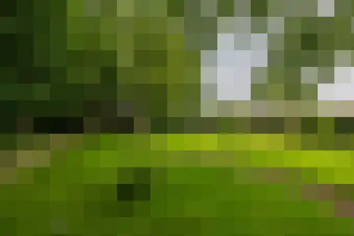 Lutjewegje 28 Uithuizermeeden thumbnail 48