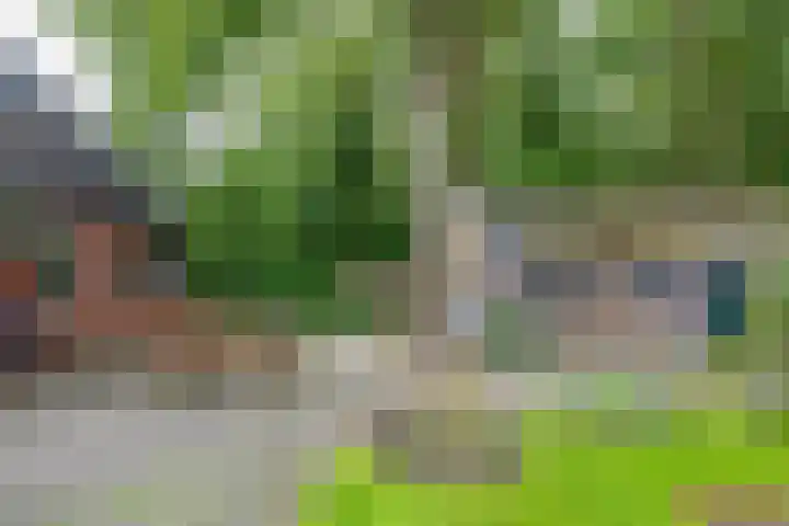 Lutjewegje 28 Uithuizermeeden thumbnail 50