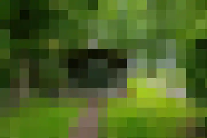 Lutjewegje 28 Uithuizermeeden thumbnail 51