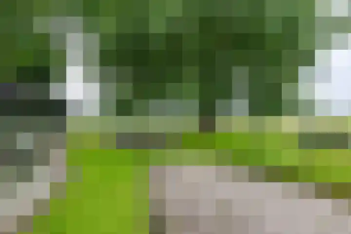 Lutjewegje 28 Uithuizermeeden thumbnail 52