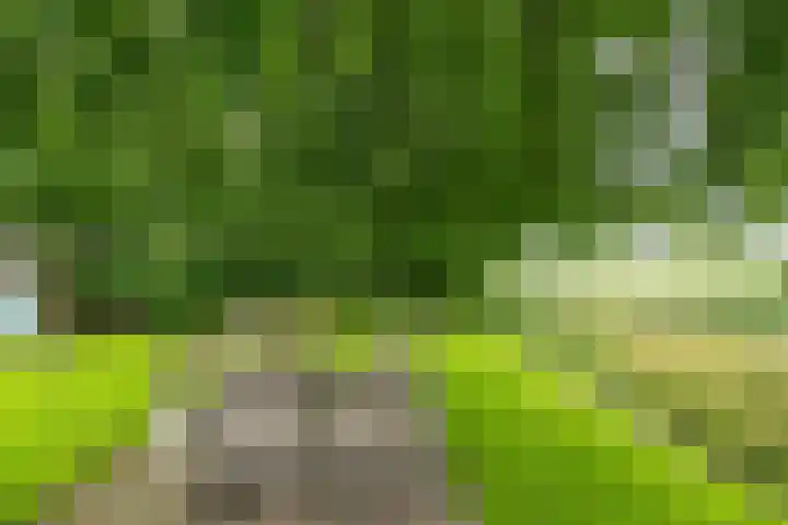 Lutjewegje 28 Uithuizermeeden thumbnail 53