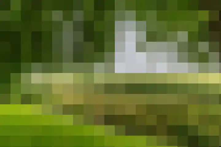 Lutjewegje 28 Uithuizermeeden thumbnail 54